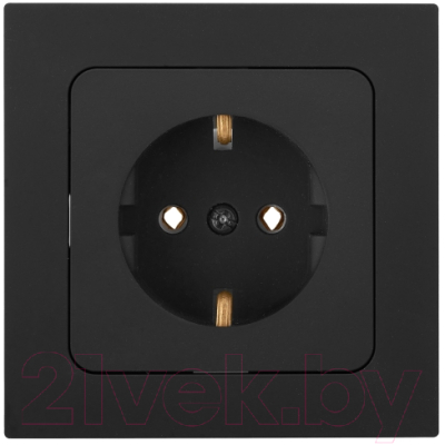 Розетка Bylectrica РС16-1502