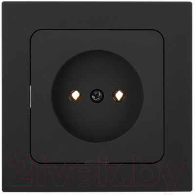 Розетка Bylectrica РС16-1501