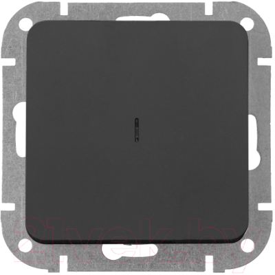 Выключатель Bylectrica С1 10-3507 - фото