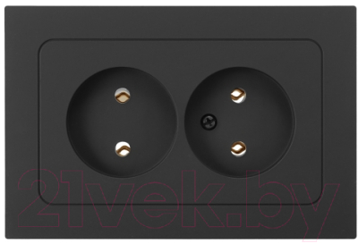 Розетка Bylectrica РС16-0541 - фото