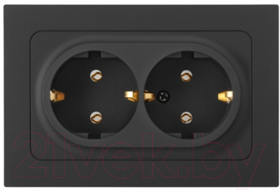 Розетка Bylectrica РС16-0542 - фото