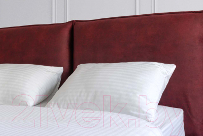 Двуспальная кровать ДСВ Сильвия 1.6