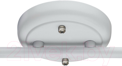 Спот Arte Lamp Jovi Bianco A1677PL-2WH