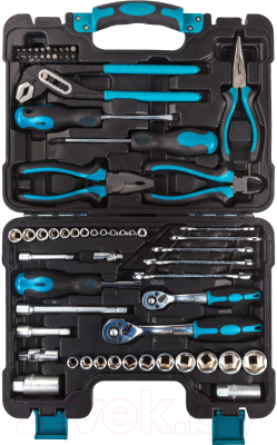 Универсальный набор инструментов Bort BTK-65