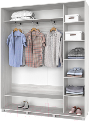 Шкаф-купе Modern Роланд Р481