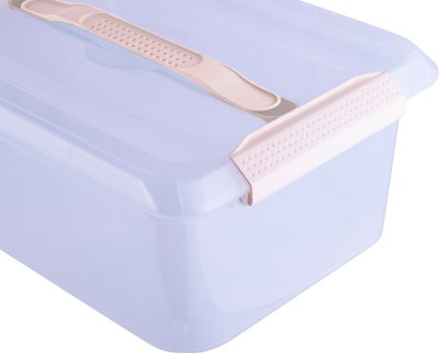 Контейнер для хранения Полимербыт Smartbox L / C48401