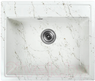 Мойка кухонная Wisent WA12-13 - фото