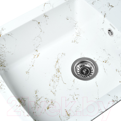 Мойка кухонная Wisent WB29-13