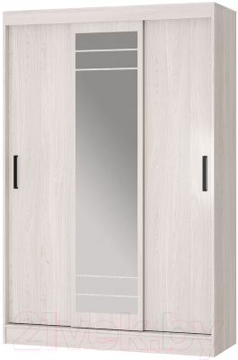 Шкаф-купе BTS Тео ШКК-02 - фото