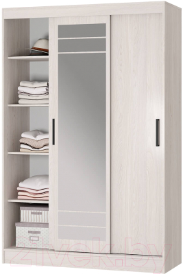 Шкаф-купе BTS Тео ШКК-02