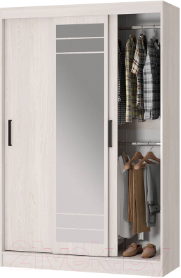 Шкаф-купе BTS Тео ШКК-02