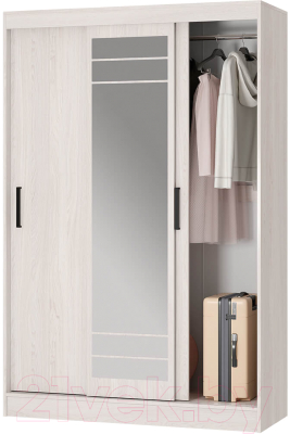 Шкаф-купе BTS Тео ШКК-02