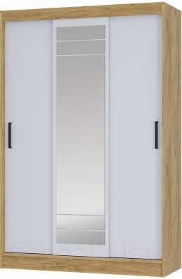 Шкаф-купе BTS Тео ШКК-02 - фото