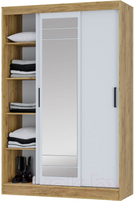 Шкаф-купе BTS Тео ШКК-02