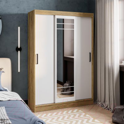 Шкаф-купе BTS Тео ШКК-02