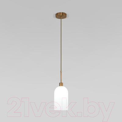 Потолочный светильник Евросвет 50357/1