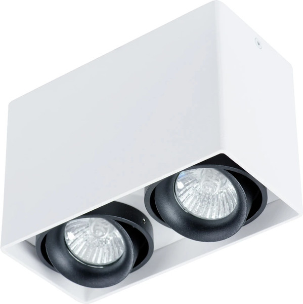 Точечный светильник Arte Lamp Pictor A5655PL-2WH