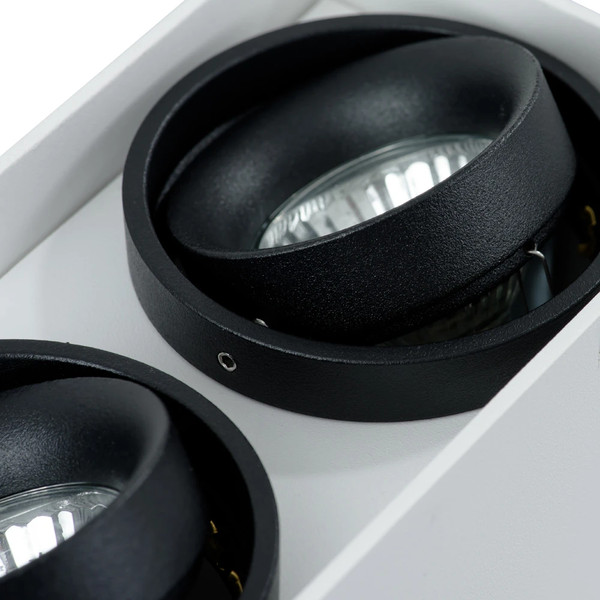 Точечный светильник Arte Lamp Pictor A5655PL-2WH