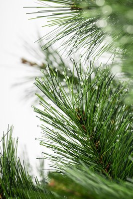 Ель искусственная Winter Fun Drop / SZ810-150 (150см)