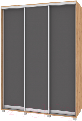 Шкаф-купе Modern Роланд Р661 - фото