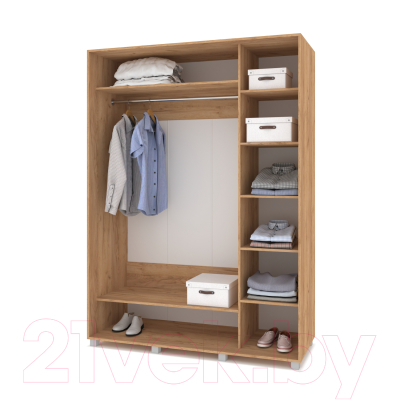 Шкаф-купе Modern Роланд Р661