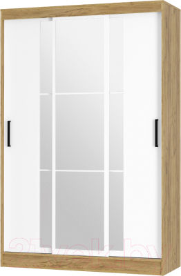 Шкаф-купе BTS Тайм ШКК-03 - фото