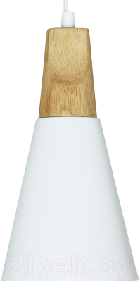 Потолочный светильник Элетех Эстет 9901 НСБ 01-60-196 / 1005405382