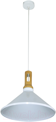 Потолочный светильник Элетех Эстет 9902 НСБ 01-60-196 / 1005405384 - фото