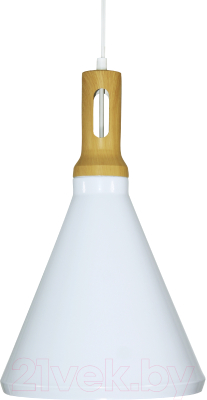 Потолочный светильник Элетех Эстет 9903 НСБ 01-60-196 / 1005405385