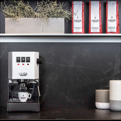 Кофеварка эспрессо Gaggia Classic Evo 9481/13