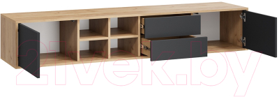 Тумба ТриЯ Тип 5