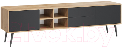 Тумба ТриЯ Тип 5 с опорами - фото