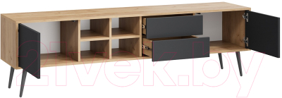 Тумба ТриЯ Тип 5 с опорами