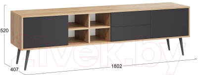 Тумба ТриЯ Тип 5 с опорами