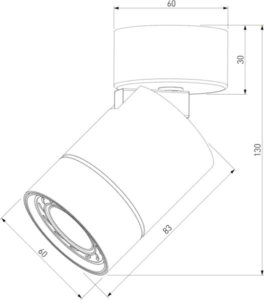 Точечный светильник Elektrostandard 25013/01 GU10