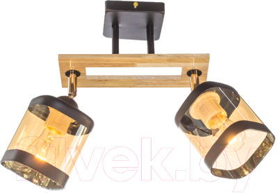 Потолочный светильник Aitin-Pro НПБ 02-2x60-101 / N4718/2 - фото