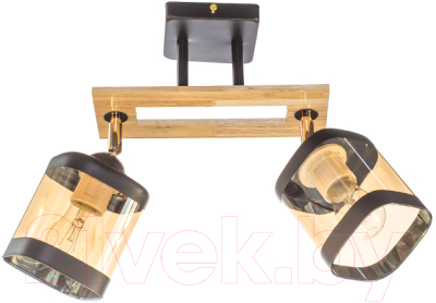 Потолочный светильник Aitin-Pro НПБ 02-2x60-101 / N4718/2