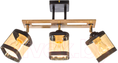 Спот Aitin-Pro НПБ 02-3x60-101 / N4718/3 - фото