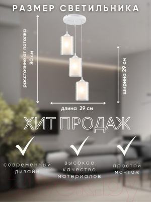 Люстра Aitin-Pro НСБ 01-3x60-101 / N4822/3H