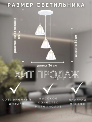 Люстра Aitin-Pro НСБ 01-3x60-101 / N4831/3H