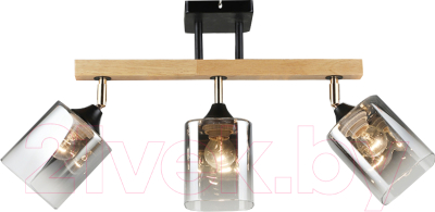 Спот Aitin-Pro НПБ 02-3x60-101 / N5280/3 - фото