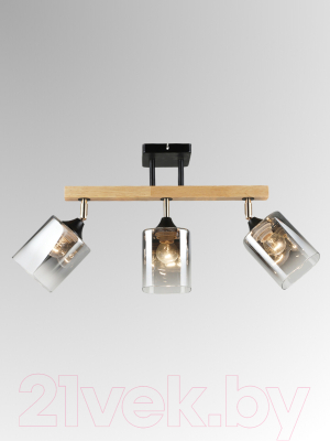 Спот Aitin-Pro НПБ 02-3x60-101 / N5280/3