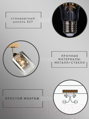 Спот Aitin-Pro НПБ 02-3x60-101 / N5280/3