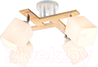 Спот Aitin-Pro НПБ 02-4x60-101 / N5291/4 - фото