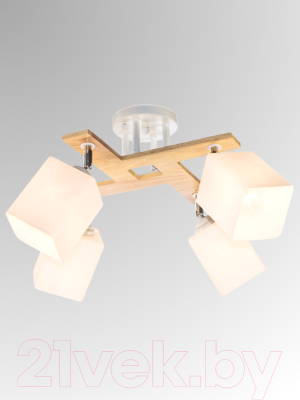 Спот Aitin-Pro НПБ 02-4x60-101 / N5291/4