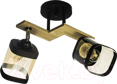 Потолочный светильник Aitin-Pro НПБ 02-2x60-101 / N5292/2 - фото