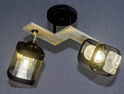 Потолочный светильник Aitin-Pro НПБ 02-2x60-101 / N5292/2