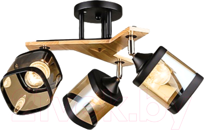 Спот Aitin-Pro НПБ 02-3x60-101 / N5292/3 - фото