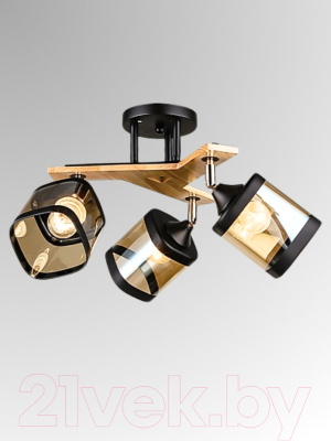 Спот Aitin-Pro НПБ 02-3x60-101 / N5292/3