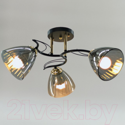 Люстра Aitin-Pro НПБ 02-3x60-101 / N5467/3
